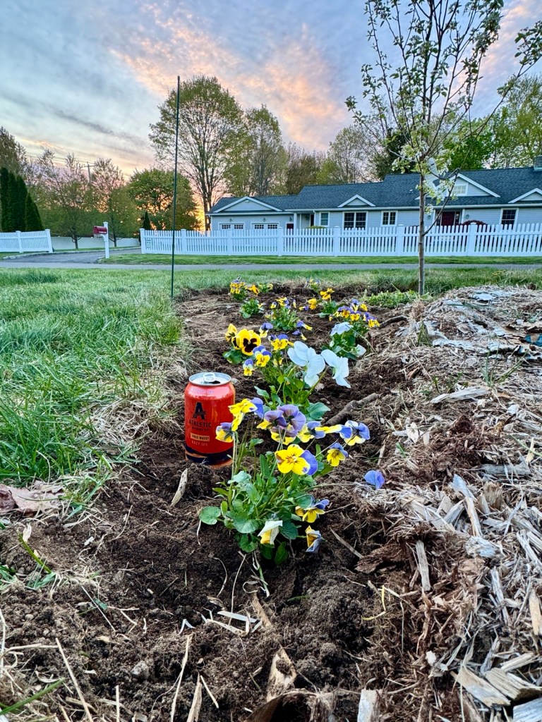 Spring Has Arrived in Easton: An Earth Month Walk Through the&nbsp;Yard